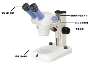 体视显微镜（经济款）
