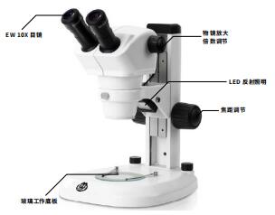 体视显微镜（标准款）